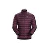 Мужская пуховая куртка Arc'teryx Cerium LT 18014-