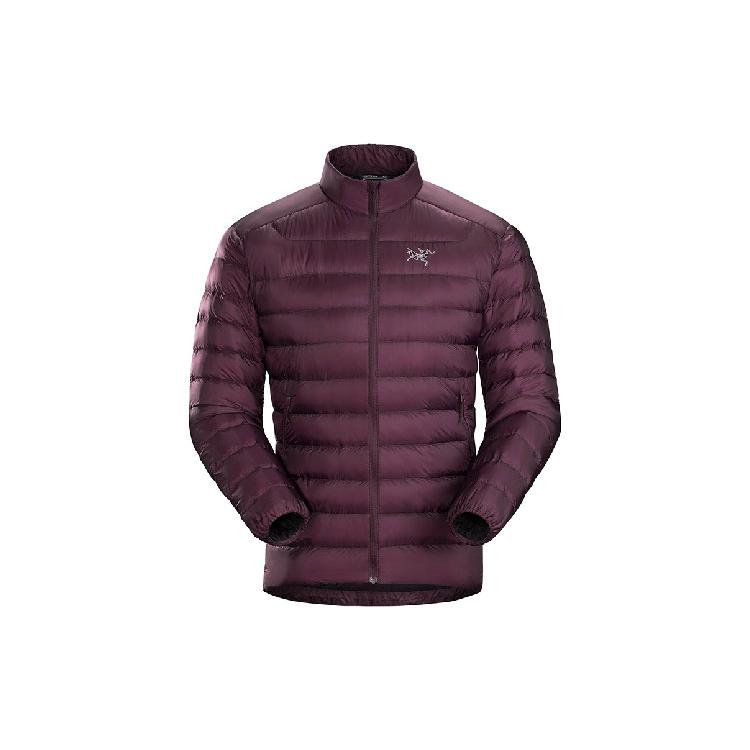 Мужская пуховая куртка Arc'teryx Cerium LT 18014-