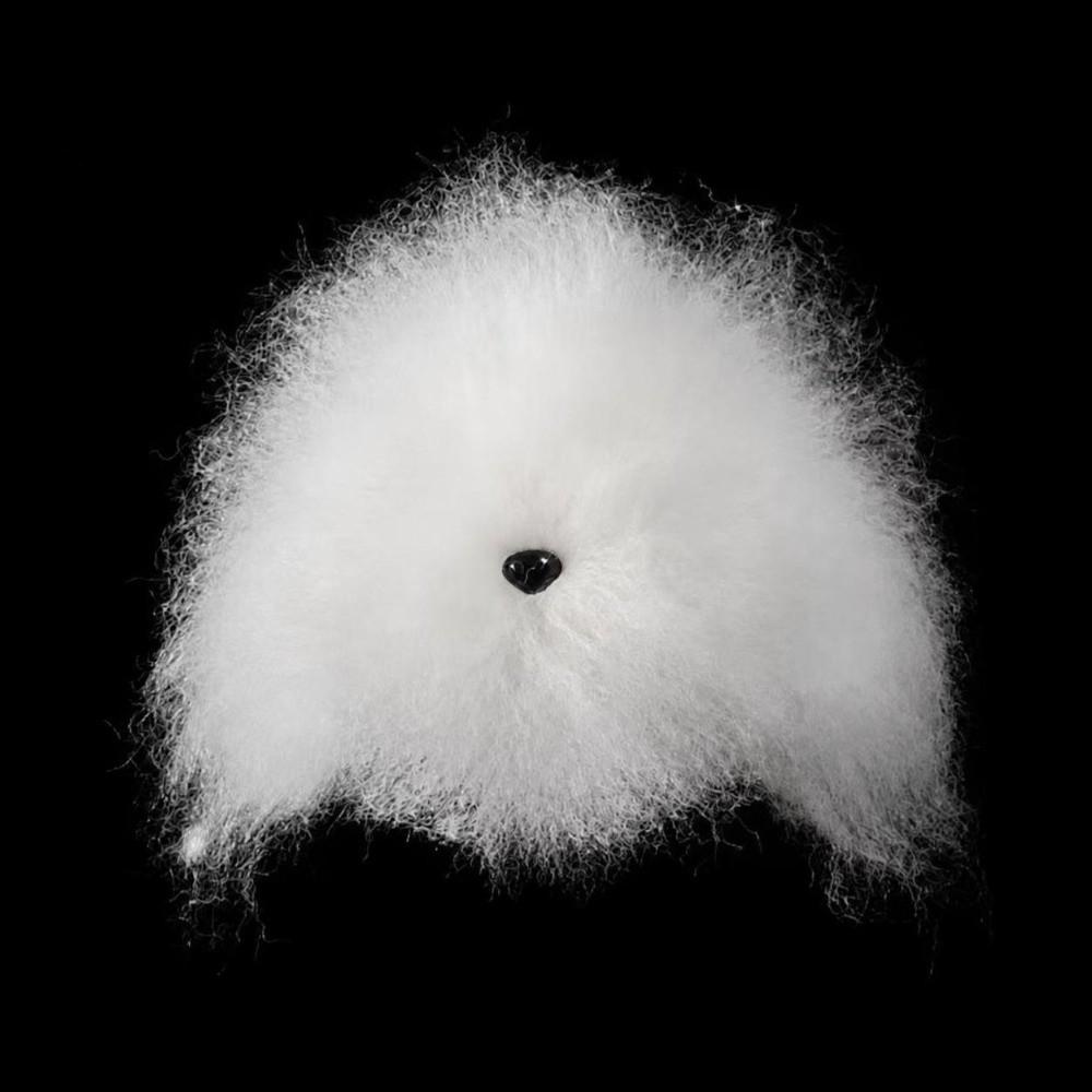 Synthetic Fiber Pet Grooming Mannequin Grooming Training Head For Pet Grooming Students