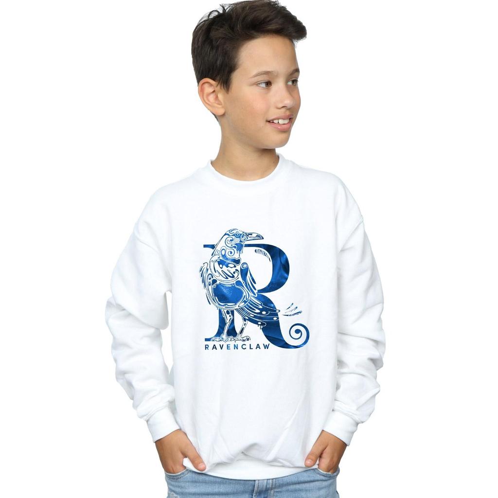 HARRY POTTER Boys Ravenclaw Raven Sweatshirt