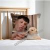 For Singer K-Kidd Voodoo Satirologia Throw Pillow Case Sham 45X45Cm 35X35Cm Square Home Pillowcase Cushion Cover