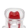 With Base Dental Anatomical Structure Tooth Disintegration Ornaments  Practice Studying Tool