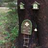 Fairy Door and Windows, Outdoor Decor Accessories, DIY Micro Landscape Home Miniature Window