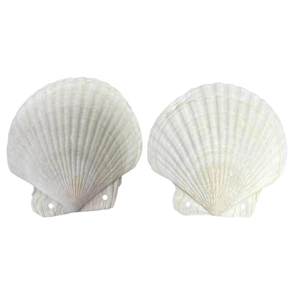 Маленький журнал в форме ракушки со сменными листами для записей, бумажный блокнот для художественного самовыражения, для ежедневного использования