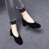 Women's Shoes 2025 Early Spring New Casual Round Head Thick Heel Loafers Black Sheepskin Thin One-pedal Middle Heel Single Shoes