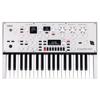 Virtual Analog Synthesizer KingKORG NEO with Vocoder Function 37 Keys