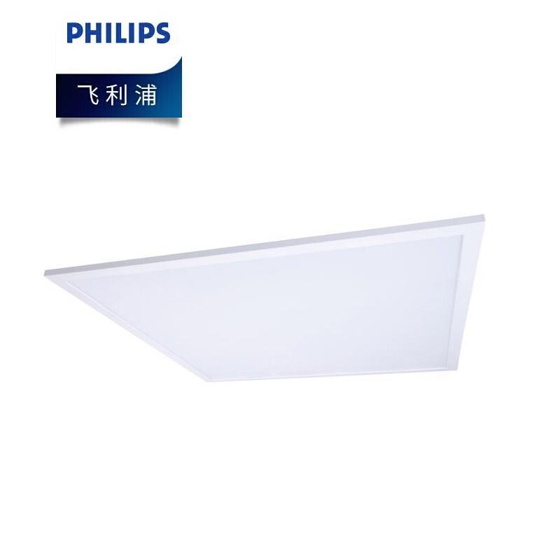 Philips RC091V LED Panel Light for Keel Ceilings, 600x600mm