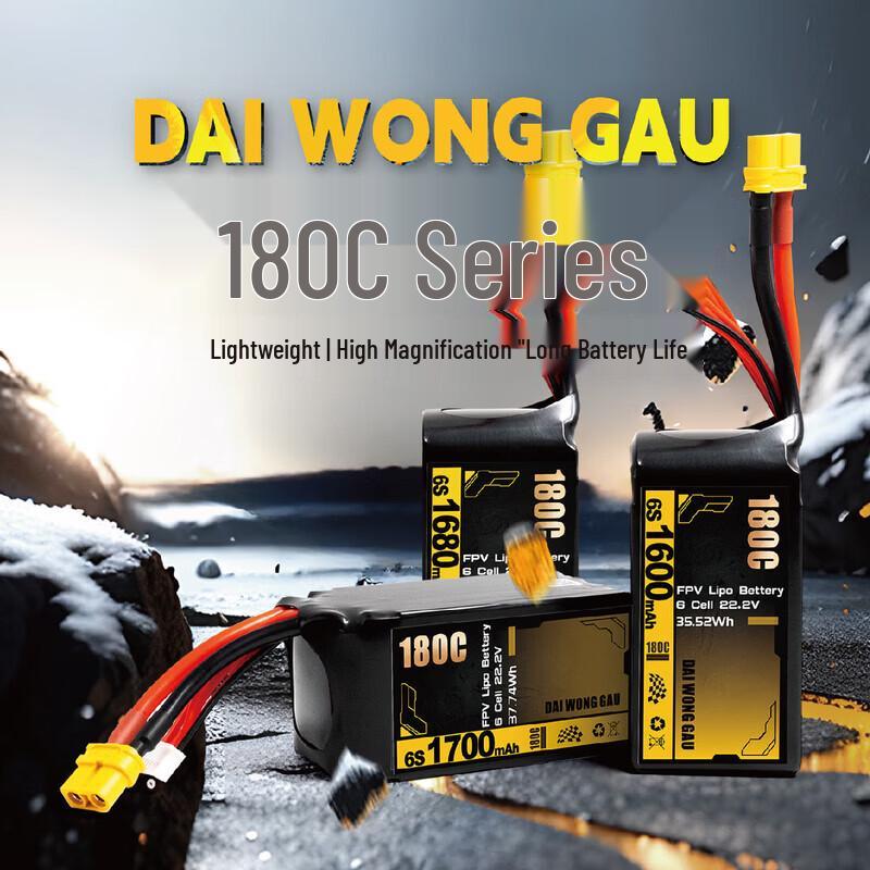 DAI WONG GAU 6S 180C High Rate LiPo Battery