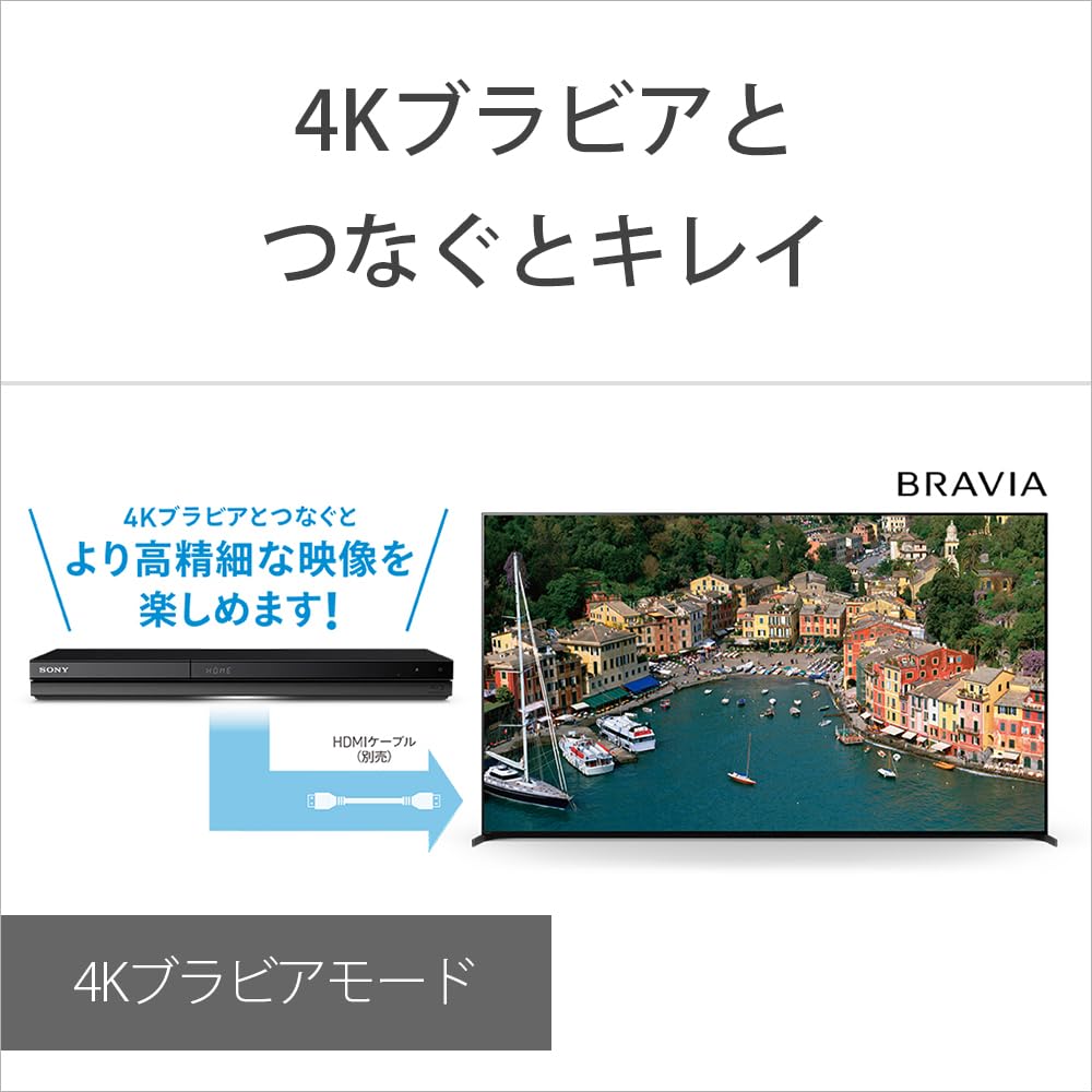 Sony 1TB Recorder Recording Supported 2-Tuner Blu-ray BDZ-ZW1900, Long-Time Recording/Dual (2024 Model)