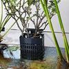 Extendable Hook Aquatic Plant Holder Versatile Plant Cultivation Rack  Plant Cultivation