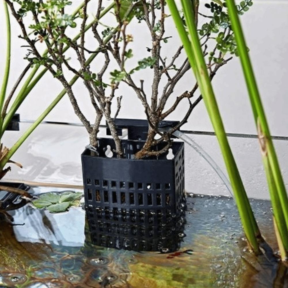 Extendable Hook Aquatic Plant Holder Versatile Plant Cultivation Rack  Plant Cultivation