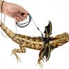 Крылья летучей мыши для прогулок, трос для ящерицы, поводок для рептилий, шлейка для ящерицы, нагрудный ремень для геккона