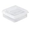 3PCS PP Sliced Cheese Container Clear Cheese Food Container  For Onion Ginger Garlic Holder