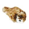 Cute Sales Plush Toy Flying Squirrel S N0006