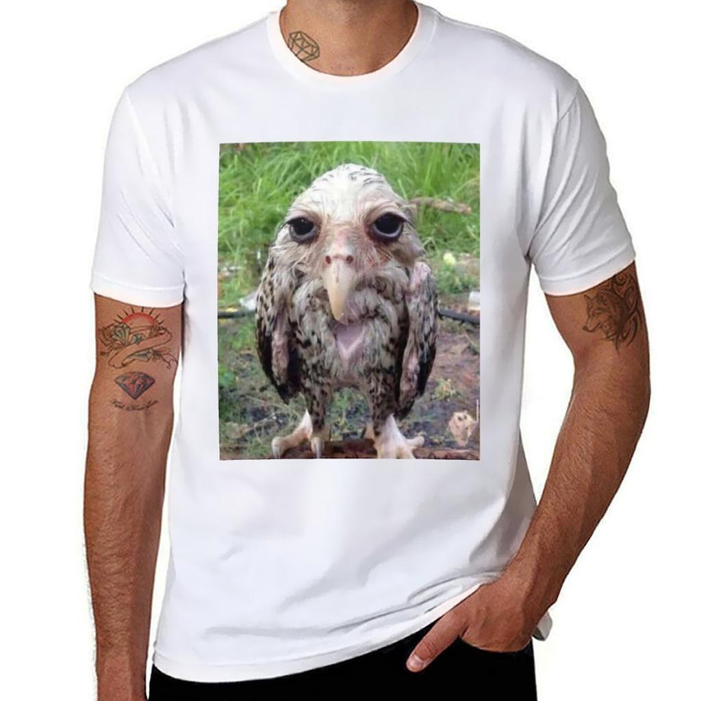 Wet Owl Meme Essential Tshirt Work Casual Loose Fit Tshirt