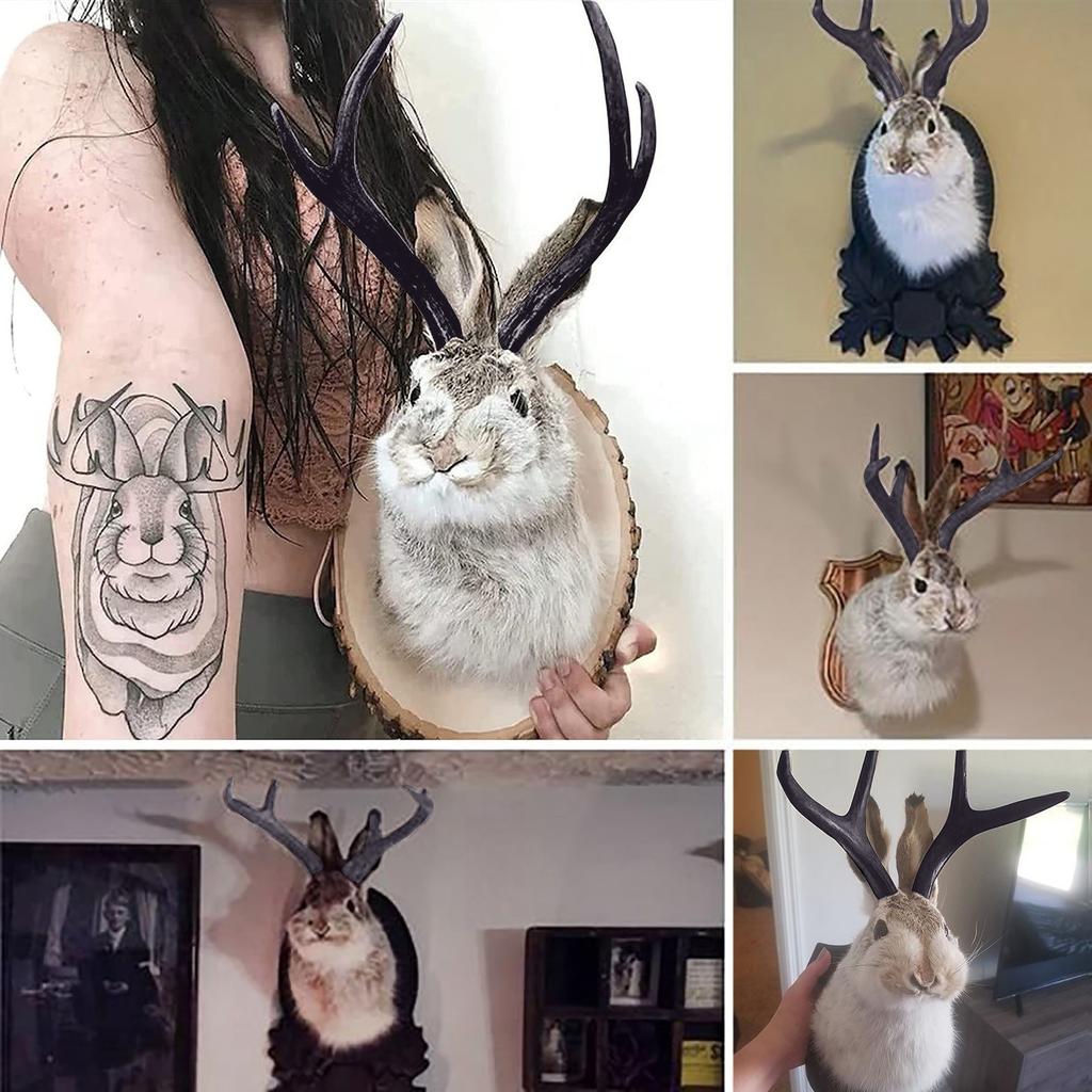 Таксидермия, Декор стены в виде головы, Настенное крепление в виде головы оленя, Настенное крепление в виде головы оленя, для украшения стен дома. Кролик Орнаменты Настенные украшения