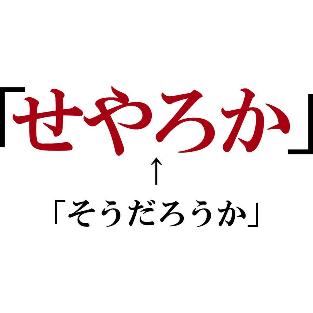 Minami Funny That Hiragana Katakana Japanese Funny Short Sleeve White M Size Horie's T-Shirt "Is So?" T-Shirt Men's