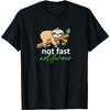 Not Fast, Not Furious Lazy Sleeping Sloth - Pyjama Gift T-Shirt