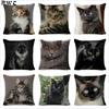 Чехол на подушку с черным котом, хлопково-льняной квадратный чехол для подушки с изображением кота, декоративная наволочка для дома, автомобиля, дивана, декоративная наволочка, cojines