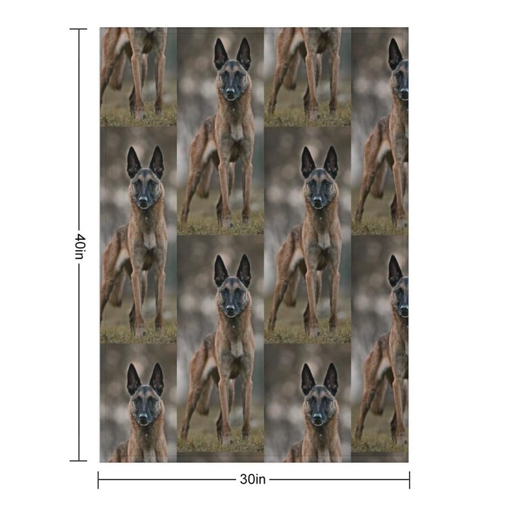 Бельгийская овчарка малинуа удивительный плед теплый зимний многоцелевой пушистый полярный плед