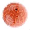 Maze Ball Earth Toy