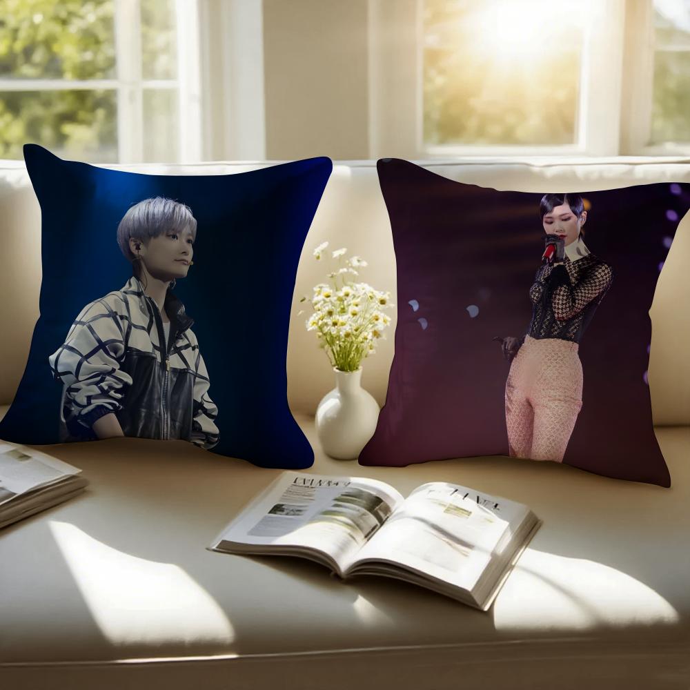 Popular fashion Chinese singer LLi Yuchun Cushion Cover Pillowcase Antidustmite Invisible Zipper Short Plush Sofa Cushion
