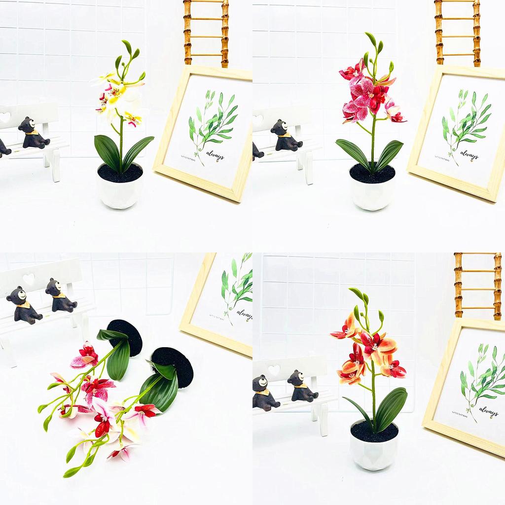 Simulated Phalaenopsis Potted Artificial Artificial Flower For Wedding Decor And Artistic Photography