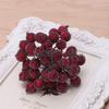 40pcs Mini Christmas Foam Frosted Fruit-Artificial Holly Berry Flower Home Decor