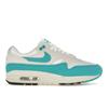 Air Max 1 Dusty Cactus Women Sneakers Blue White Phantom DZ2628-107