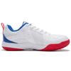 Li Ning Ace Текстиль, Синтетическая кожа Амортизация Скользкая Устойчивая к истиранию Низкие Бадминтонные кроссовки Мужские AYTP011-13