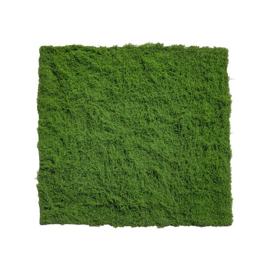 Подушка из искусственного мха Реалистичный искусственный мох Декор для кашпо Зеленый искусственный мох Дерн для DIY проектов Поделки Центральные элементы стола Декорации для сказочного сада