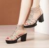 High Heels Sandals Woman Open Head Sexy Black Rivet Block Heel Platform Shoes Summer Back Zip Size 36-40 Women Sandals