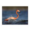 Flamingo Large Carpet Feather Wind Bedroom Floor Mat