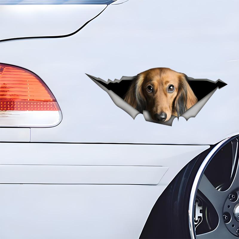 Car Stickers for Red Long-Haired Dachshund Hidden In Holes, Waterproof Irregularly Shaped Car Decoration Decals