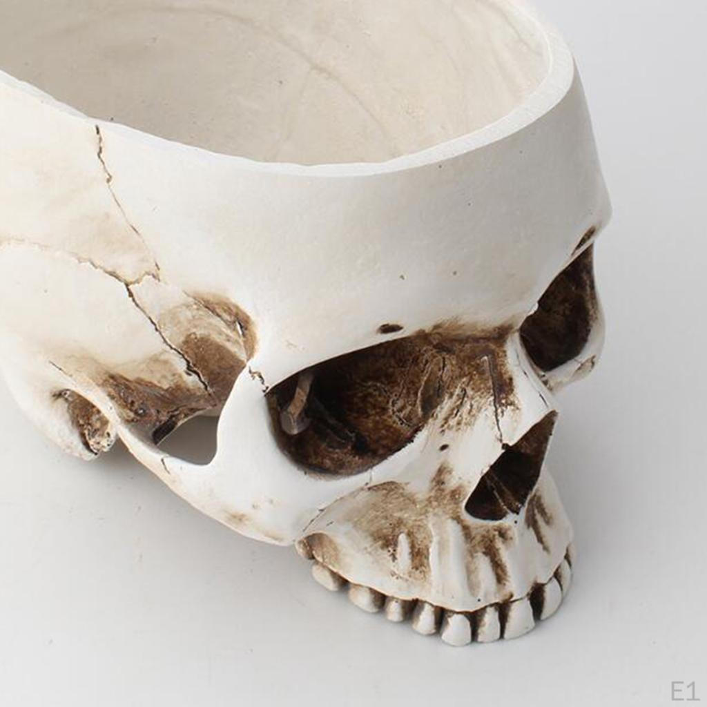 Цветочный Горшок Суккулентные Растения Хэллоуин Форма Черепа Стимпанк Домашний Декор