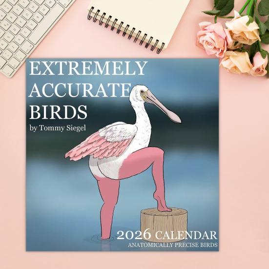 Настенный календарь на 2026 год, забавные птицы, настенный календарь, январь. на декабрь 2026 12-месячный планер оригинальный рождественский подарок-прикол подарок для взрослого