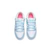 Nike Кроссовки Dunk Минималистичный стиль Низкие Кеды для скейтбординга Женские Небесно-голубые FJ7743-194(Команда196-)