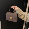 Retro Portable Small Bag Women's 2025 New Fashion Small Square Bag Autumn and Winter Versatile Shoulder Messenger Bag