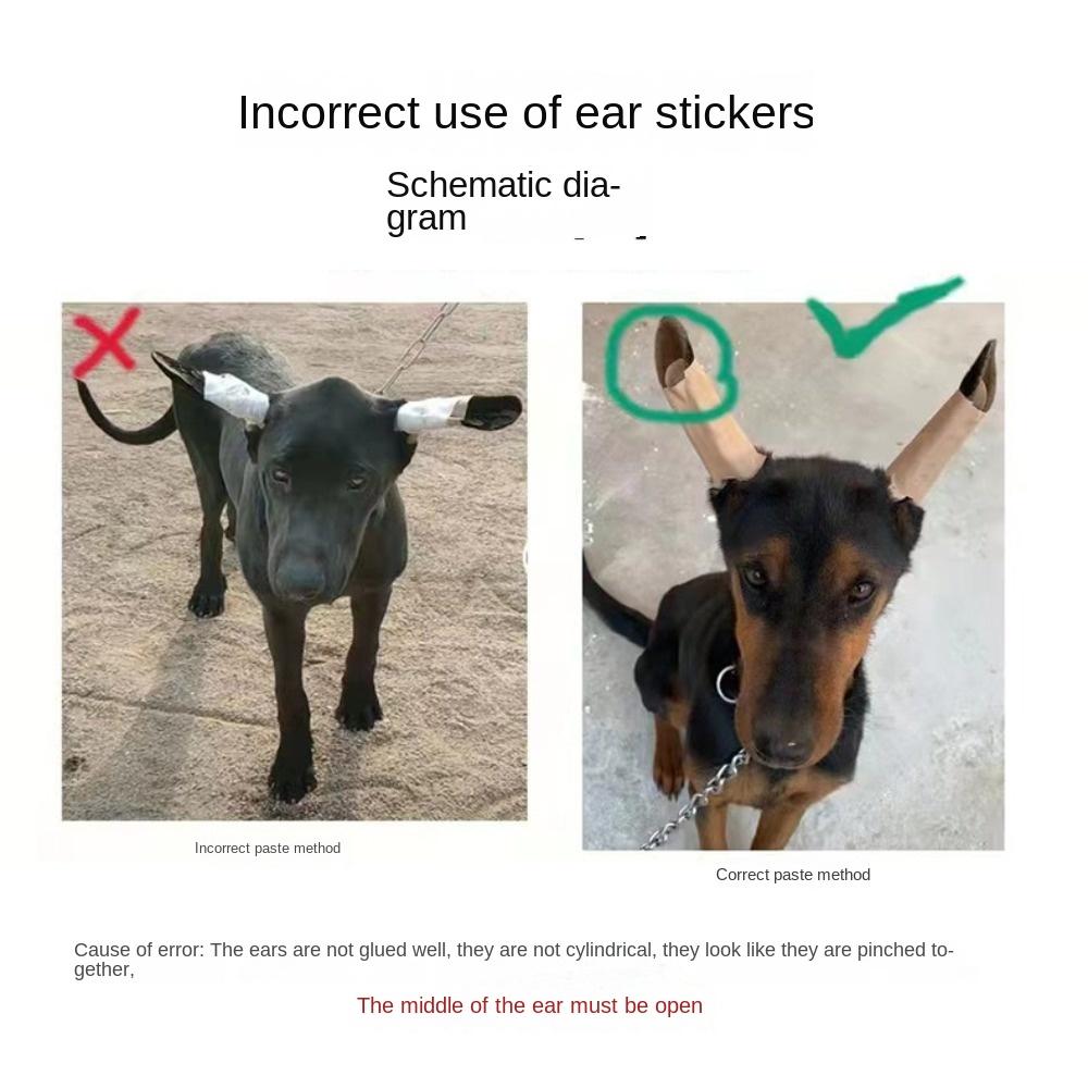 Correction Doberman Correct Dog Ear Stand Up Stickers Ear Care Tools Dog Ear Erector Dog Supplies