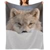 Arctic Wolf Throw Blanket Decorative Sofa Flannel Fabric Loose Warm Blankets