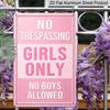 2D Flat Decorative Sign & Plaque, 1pc Fun "No Trespassing Girls Only No Boys Allowed " Aluminum Metal Sign - Light Pink Humorous Wall Decoration for
