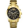 Мужские кварцевые часы Optic Gold Metal W0193G1