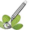 1Pcs Stainless Steel Cactus Peeler Spoon Spoon Shaped Nopales Peeler for Home Kitchen Manual Tool