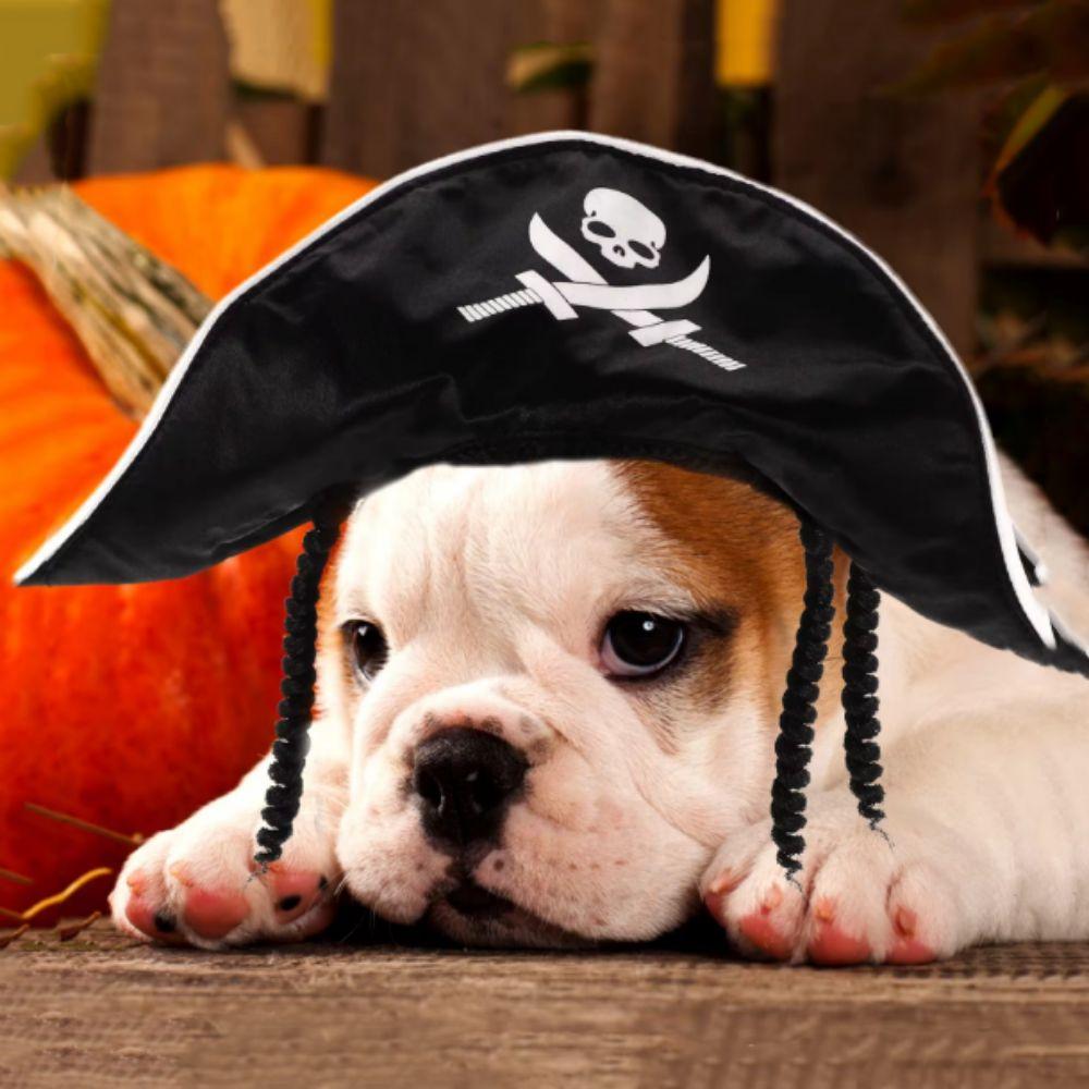 Breathable Cat Wizard Hat Adjustable Cat Spider Hat Funny Dog Cosplays Hat Halloween Party