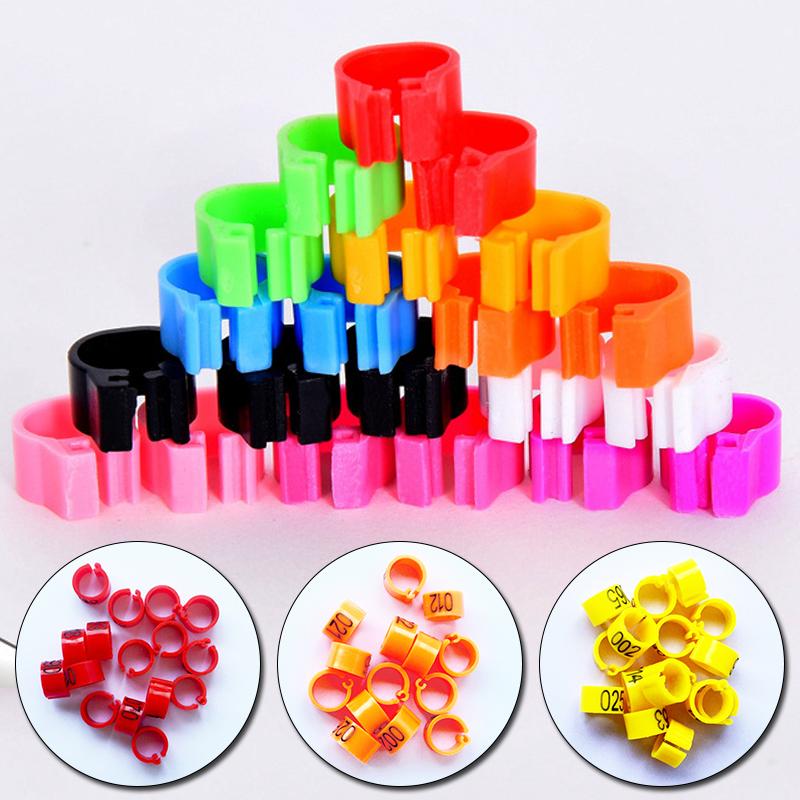 100pcs Parrot Feeding Plastic Digital Bird Foot Clip Pigeon Training Tools Animal Supplies Clip Rings