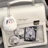 Women Niche Bag 2025 New Transparent Pain Bag Premium Sense Teenage Shoulder Crossbody Bag