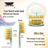 Lion Fine Tooth Clean Gum Protection Toothbrush