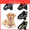 Собаки – Ошейники и поводки для собак
