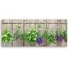 Feeby Feeby Canvas print, Herbs for drying