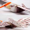 Dancing Wings Hobby E1904 EPP RC Airplane Eagle Plane 1430mm Electric Powered Aircraft Unassembled PNP Version DIY